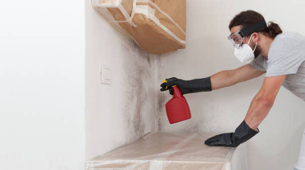 Professional Basement Mold Remediation technician working in Mathews, VA