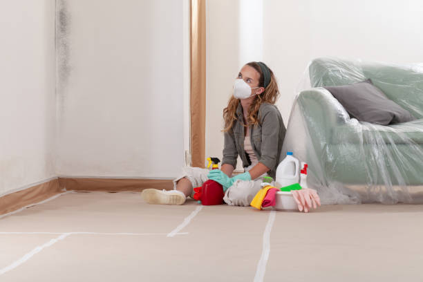 Reliable Basement Mold Remediation contractor in Mathews, VA by WQB Mold Removal